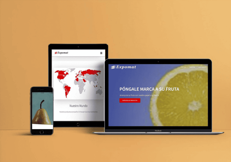 Proyecto Web 2