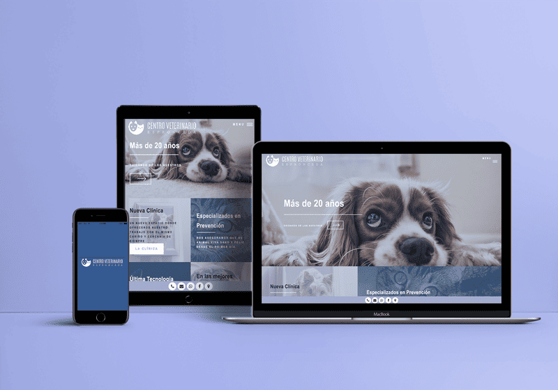 Proyecto Web 6